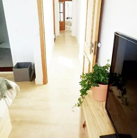 Apartmán Figueira Penthouse By The Marina *