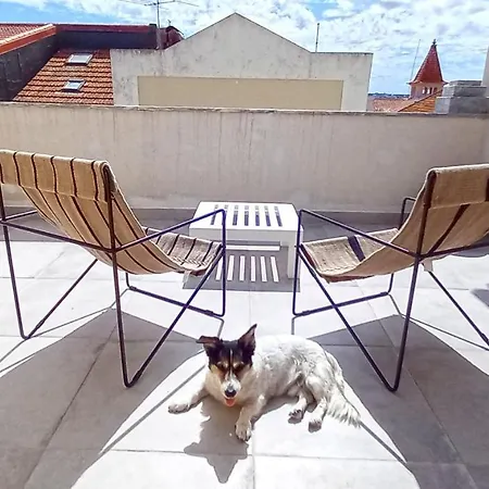 Figueira Penthouse By The Marina *